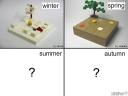winter-spring-summer-autumn.jpg