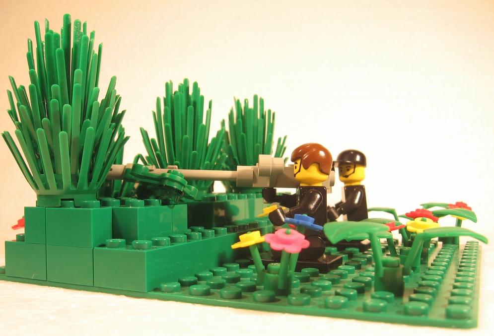 005-antiterrorists-in-bushes.jpg
