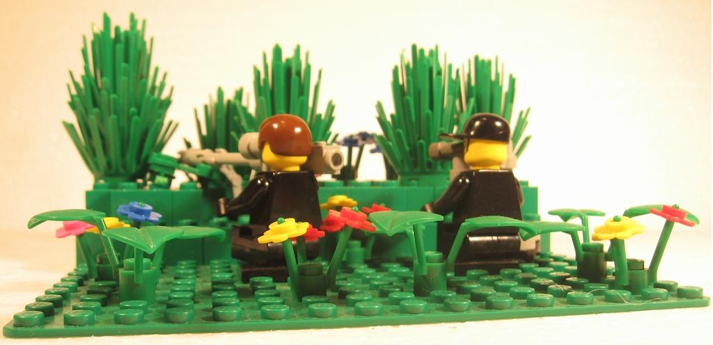 006-antiterrorists-in-bushes.jpg