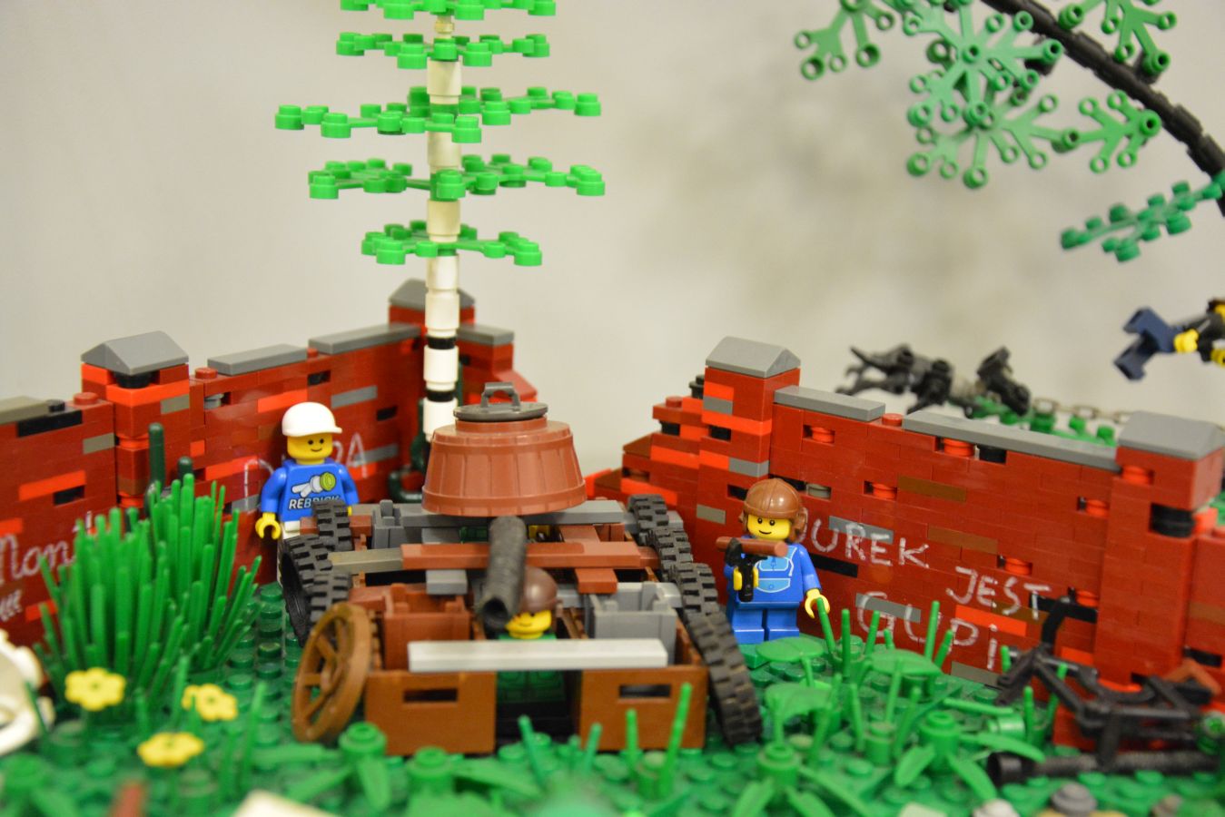 dsc_0096.jpg