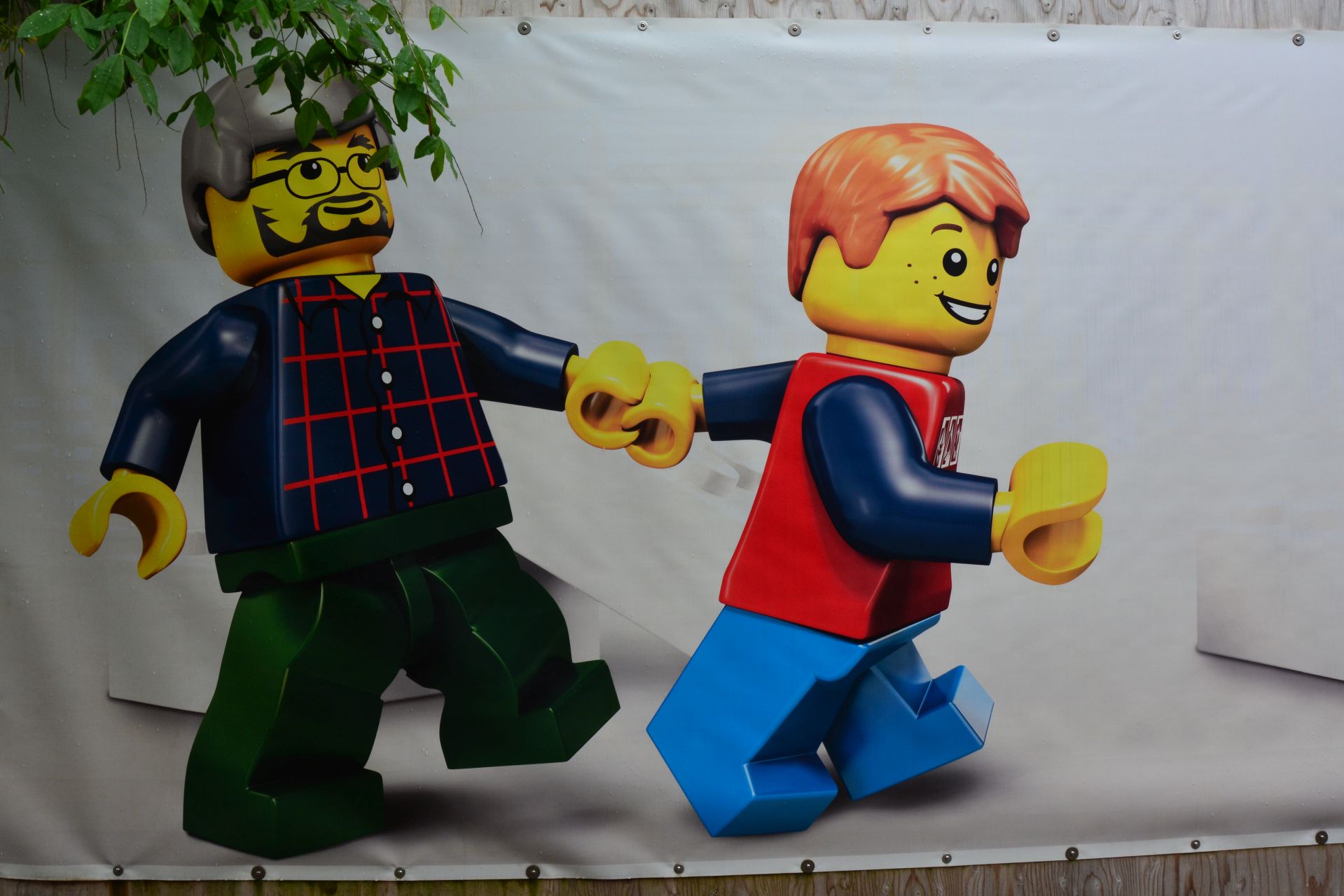 csc_5158.jpg