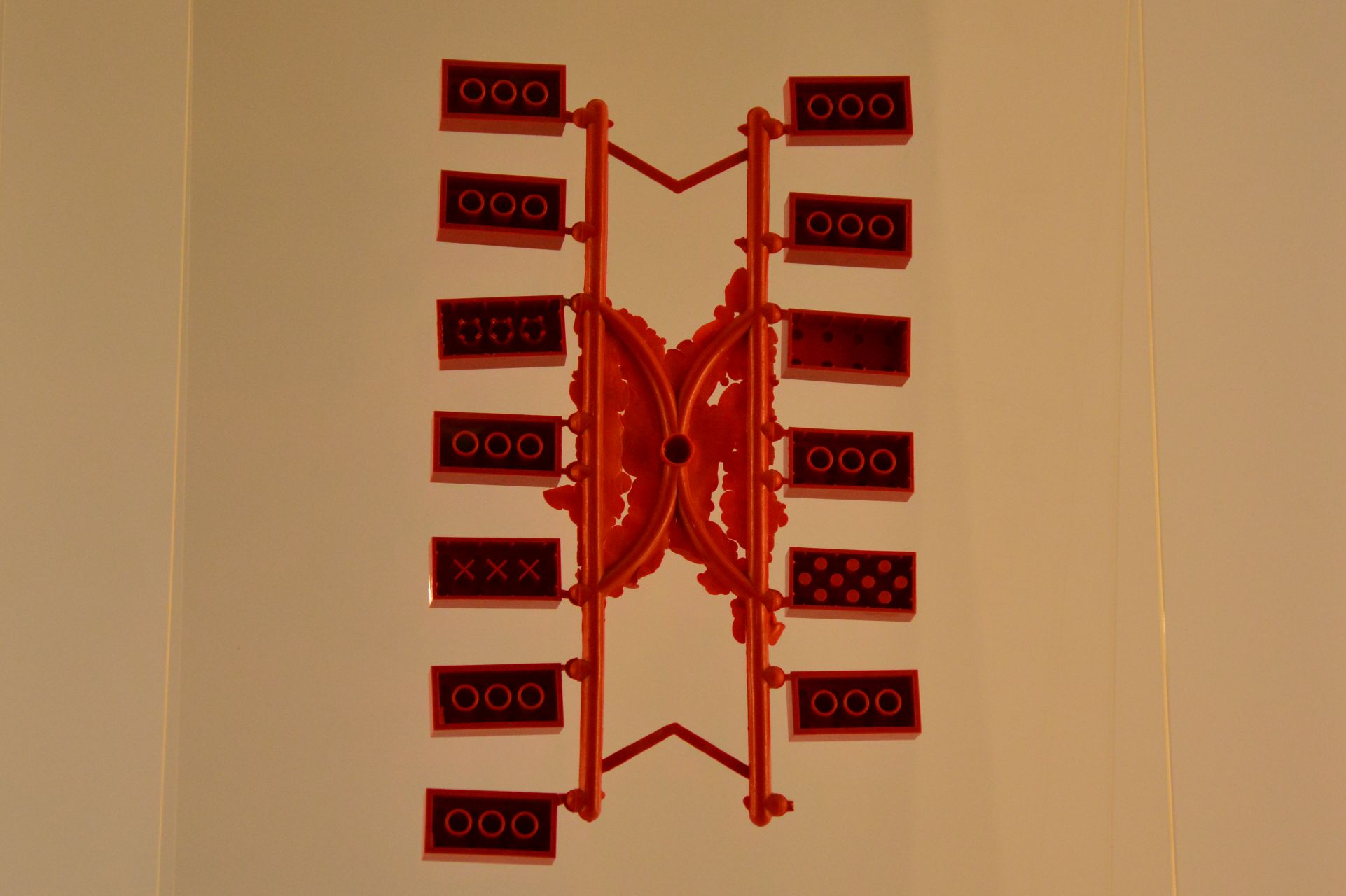 csc_5178.jpg