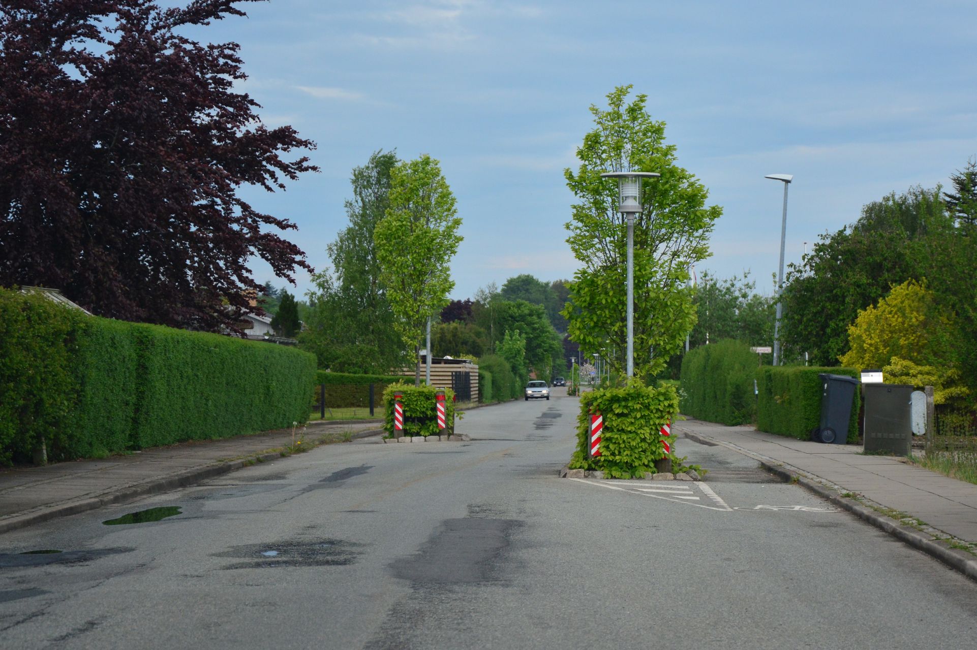 003_csc_5133.jpg