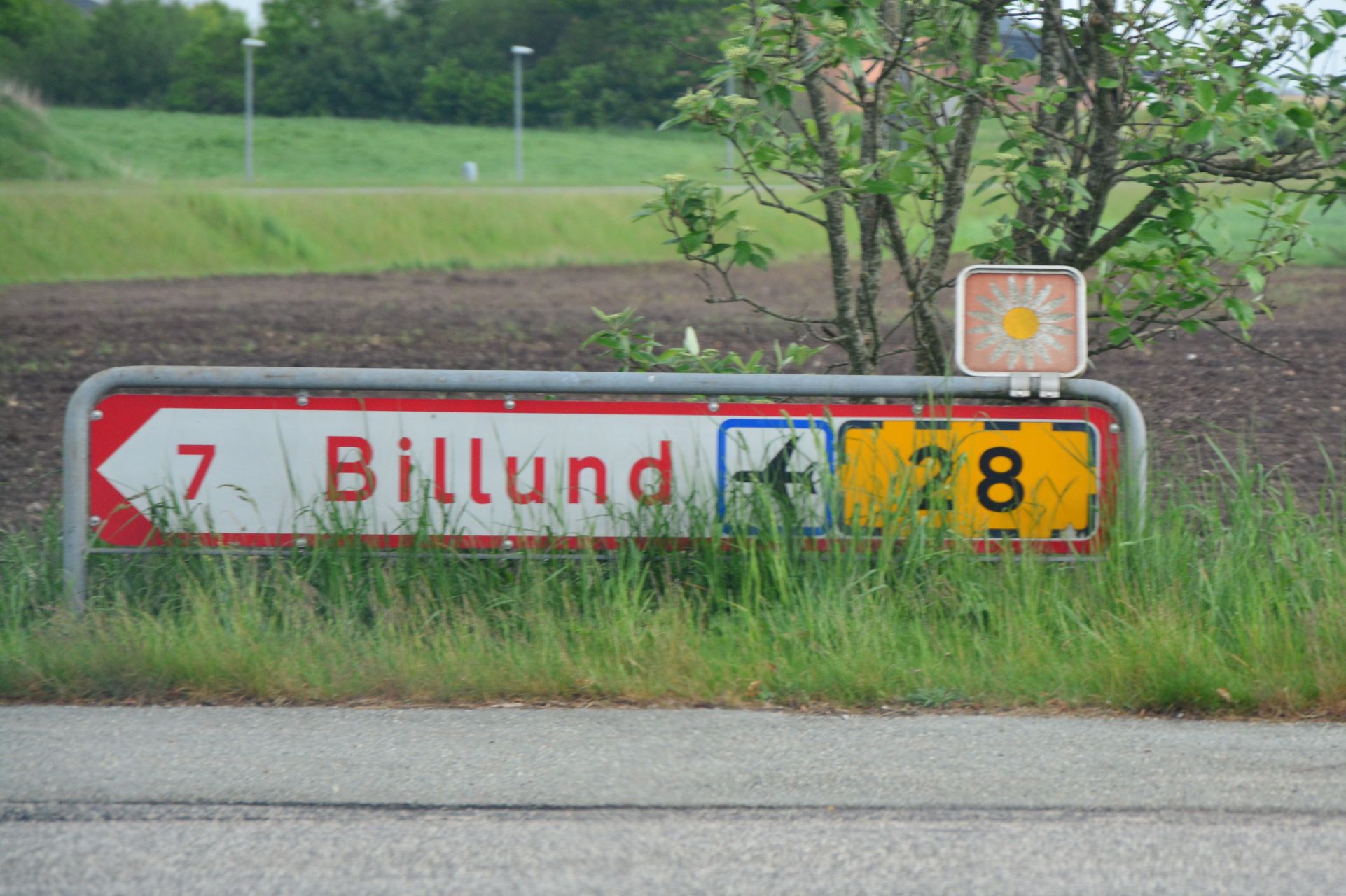 004_csc_5134.jpg
