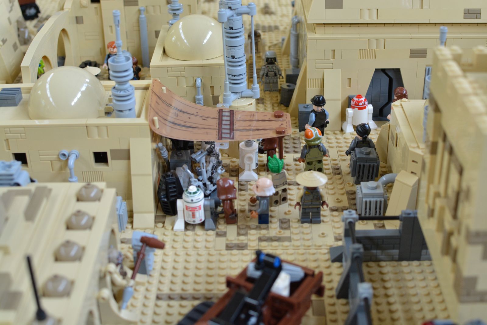 dsc_5166.jpg