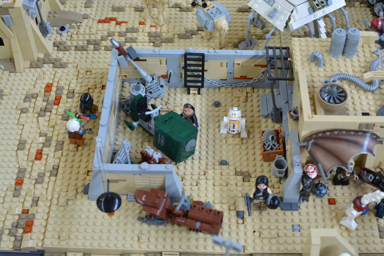 dsc_5167.jpg