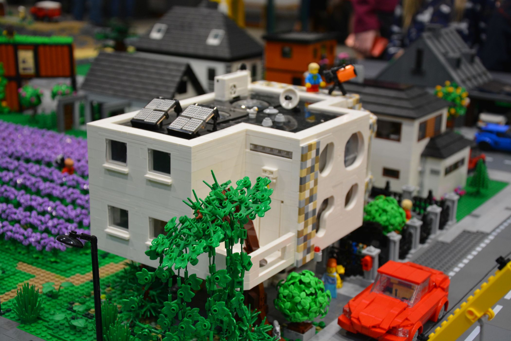 dsc_0074.jpg