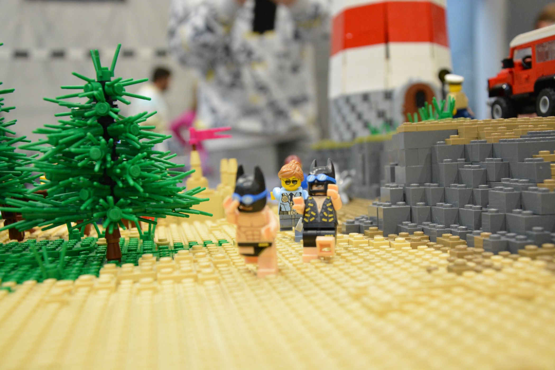 dsc_0096.jpg