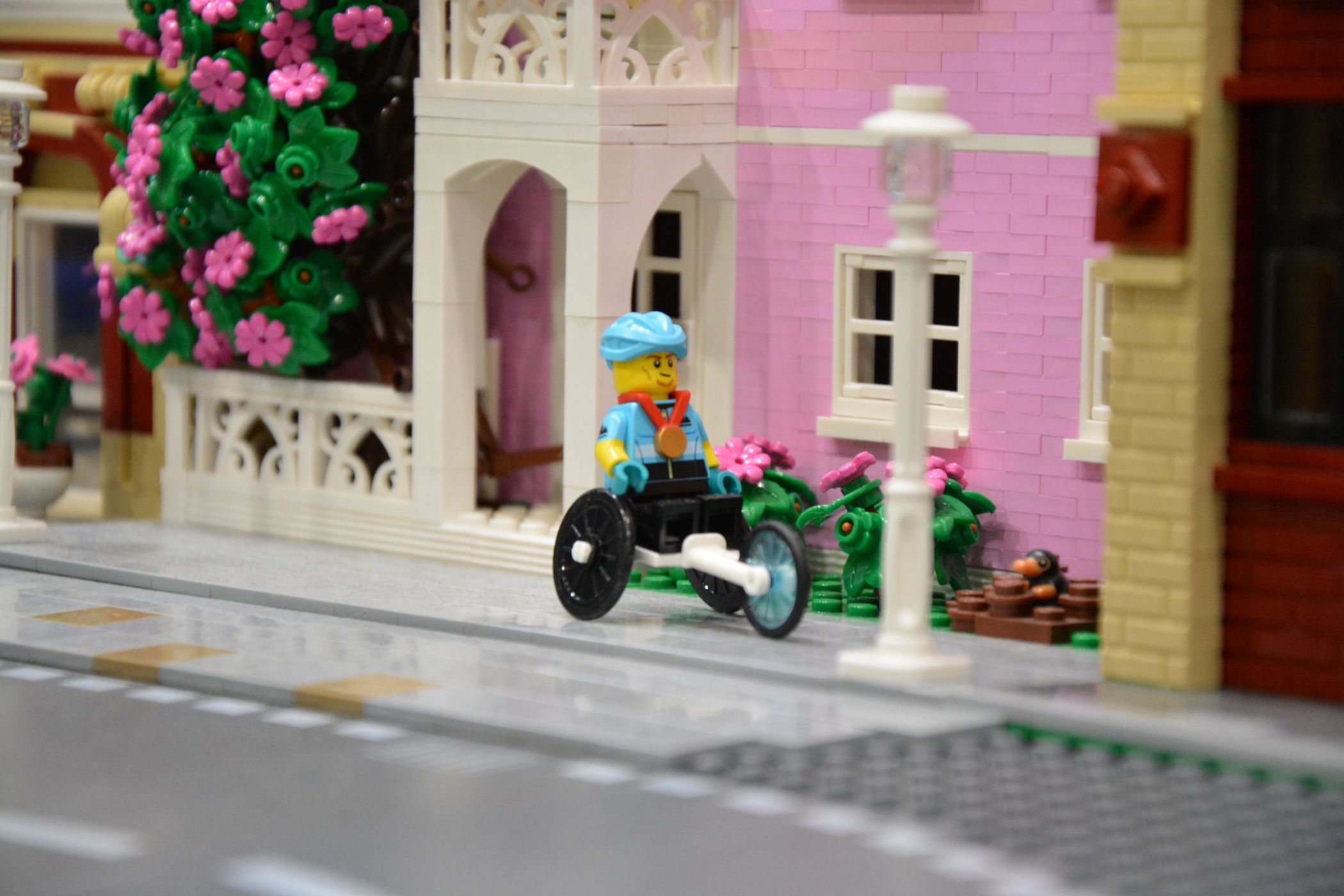 dsc_0116.jpg