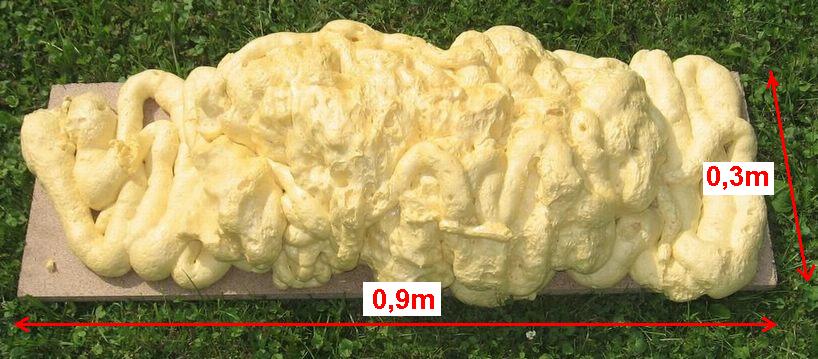 018-elephants-droppings-dimensions.jpg
