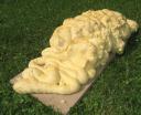 014-elephants-droppings.jpg