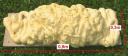018-elephants-droppings-dimensions.jpg