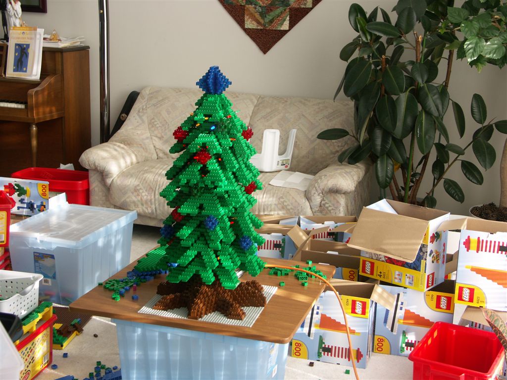 november_2006_tree_006.jpg