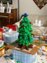 november_2006_tree_009.jpg