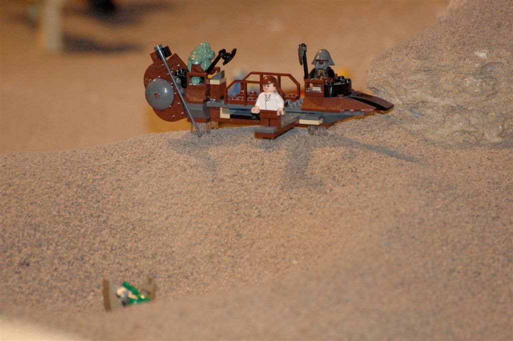 dsc_6531.jpg