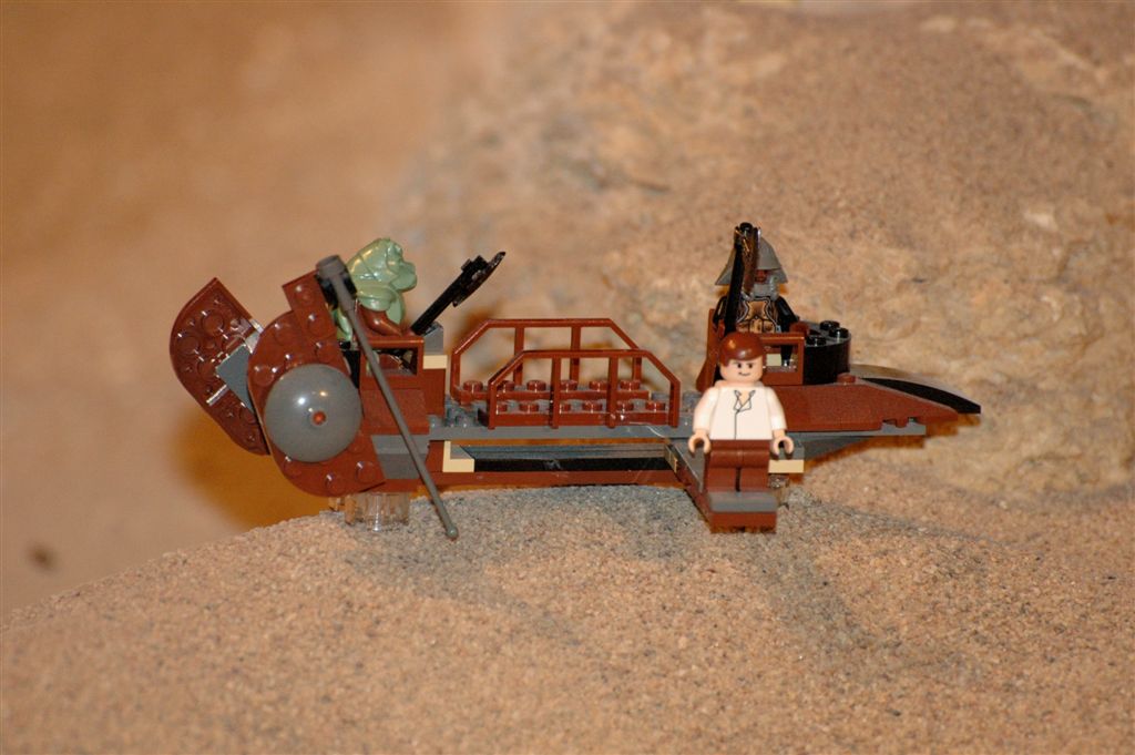 dsc_6537.jpg