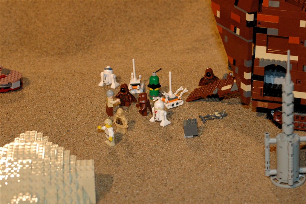 dsc_6545.jpg