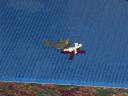 pict0043.jpg