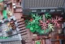 dsc05890.jpg