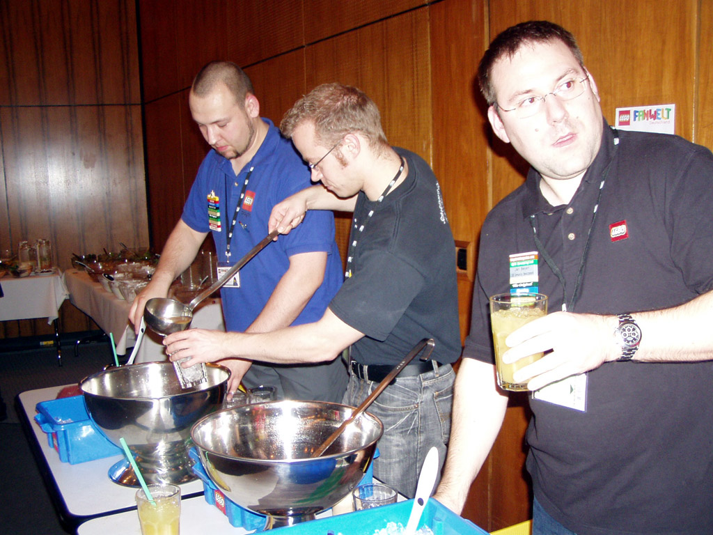2008legofanwelt_135.jpg