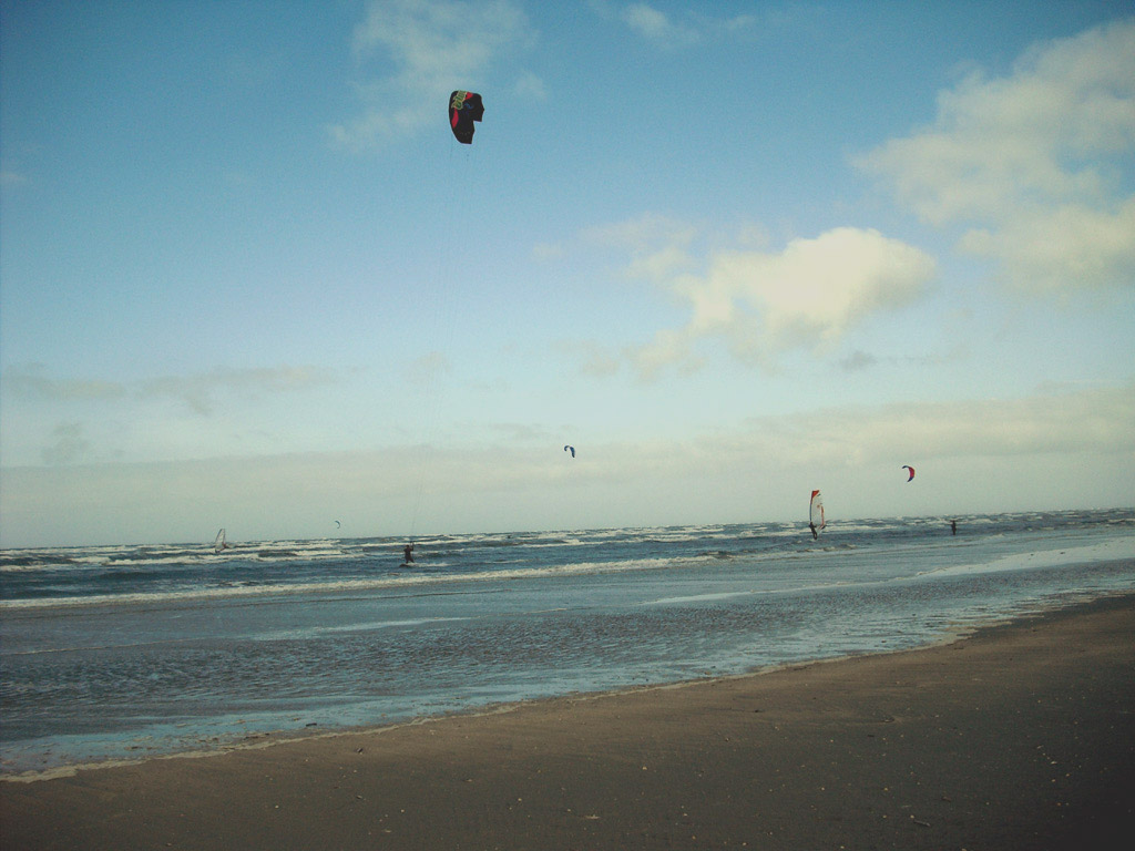 2009skaerbaek_105.jpg
