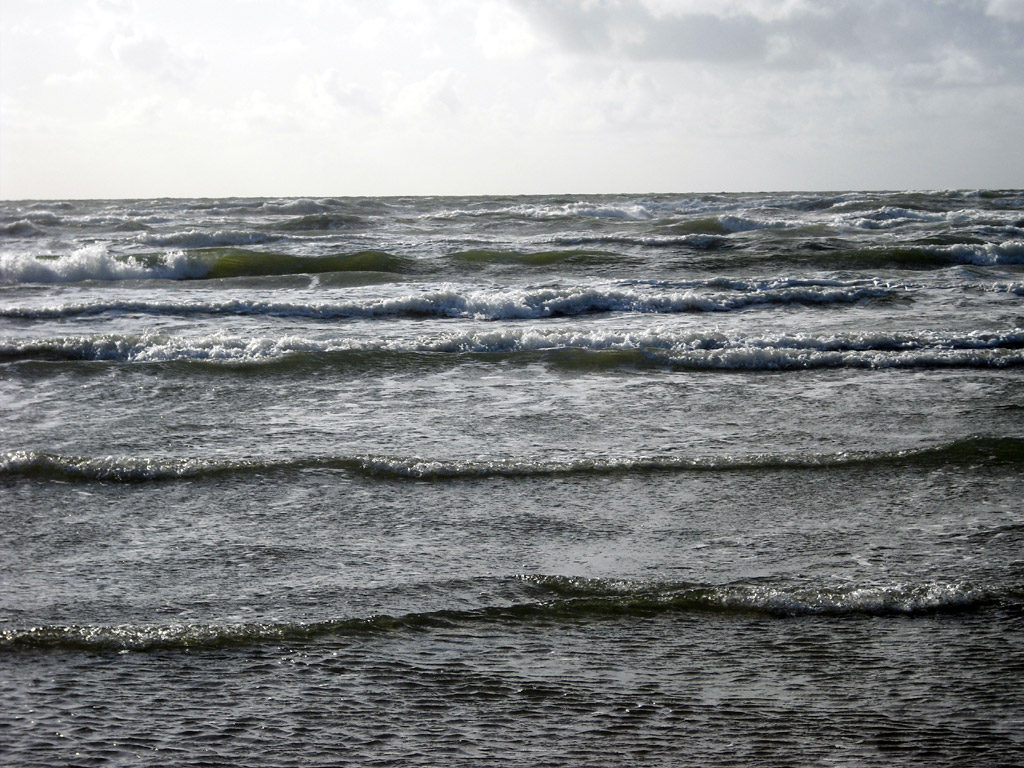 2009skaerbaek_111.jpg