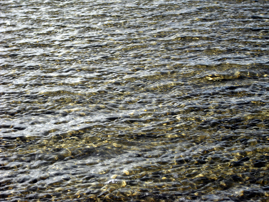 2009skaerbaek_112.jpg