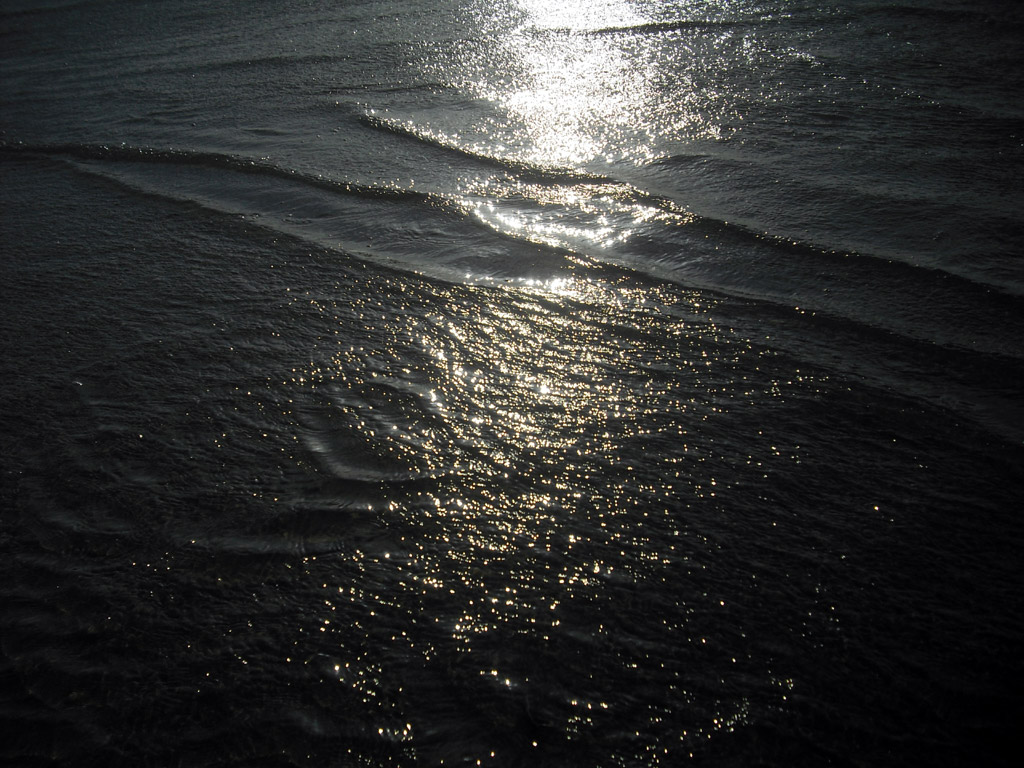 2009skaerbaek_115.jpg