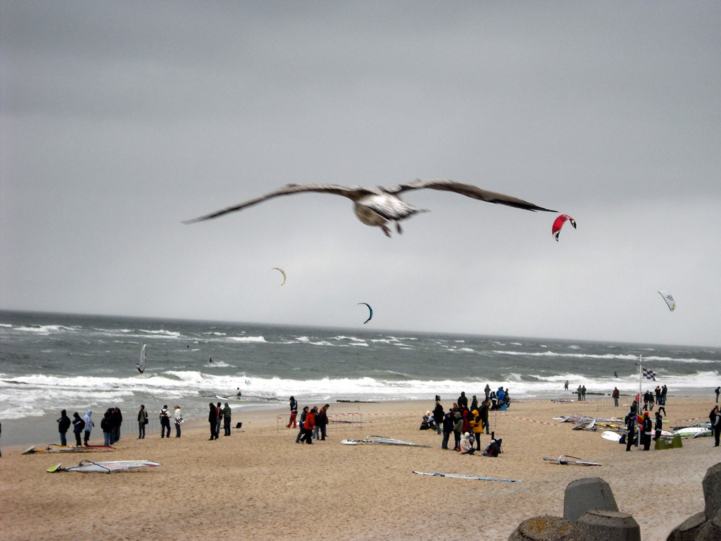 2009skaerbaek_188.jpg