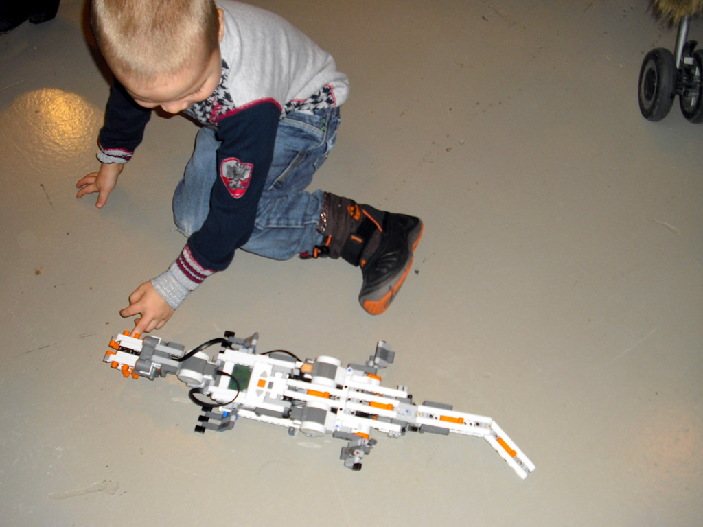 2010legoworlddk_210.jpg