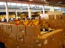 2010legoworlddk_230.jpg