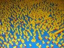 2010legoworlddk_231.jpg