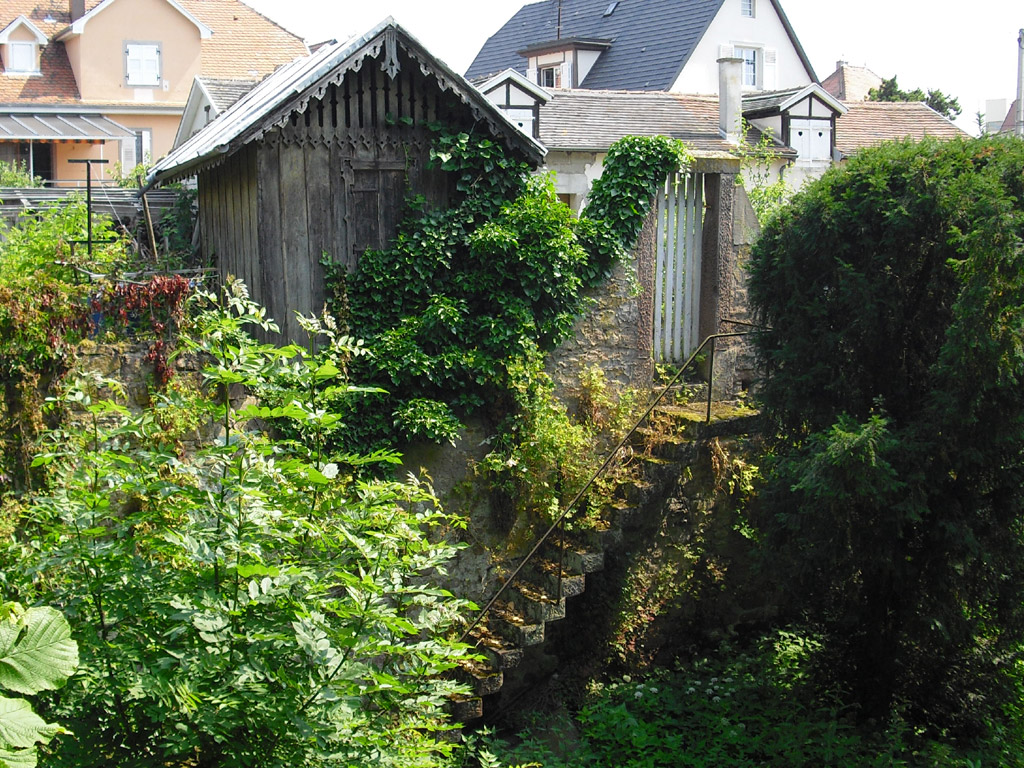 2010rosheim_064.jpg