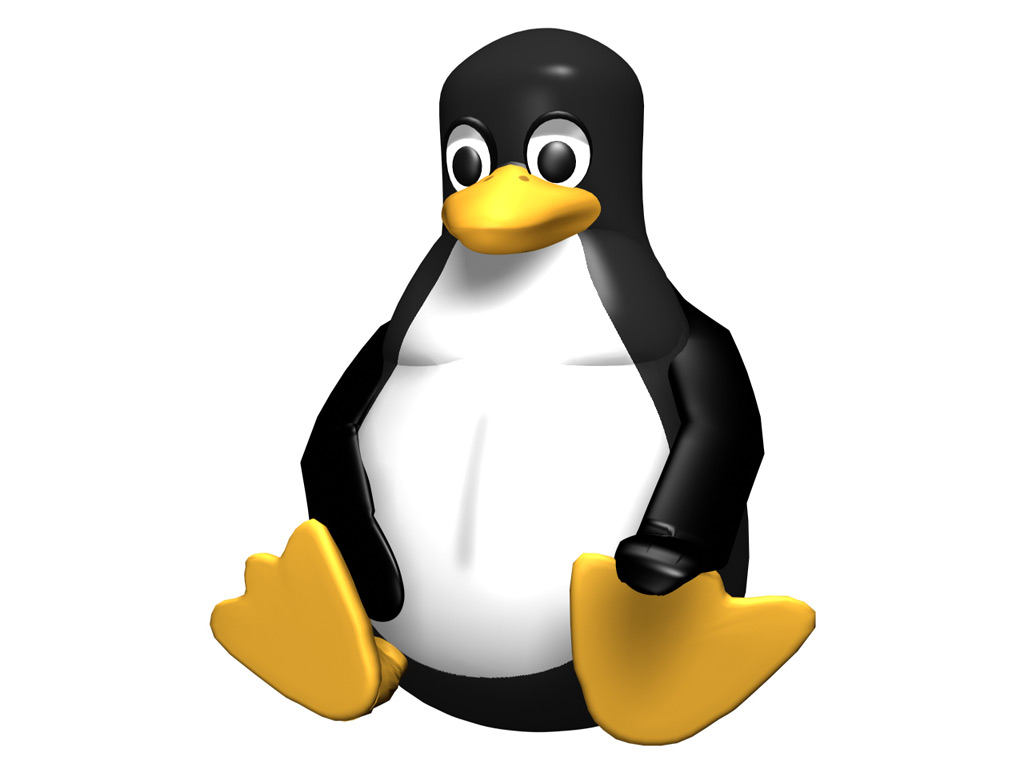 bigtux_01.jpg