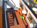 tn_dsc05442.jpg