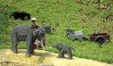 legoland-03.jpg