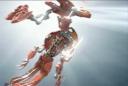 bionicle3preview22.jpg
