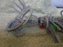 po20070830_0068.jpg