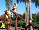 monkeys.jpg