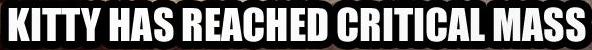 kitten_has_reached_critical_mass.jpg