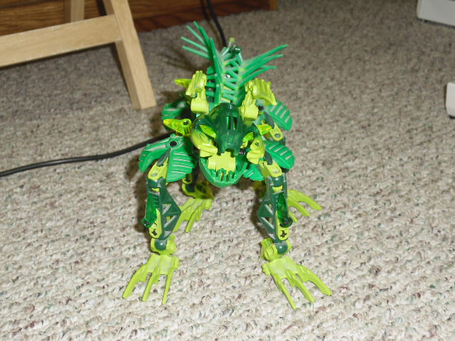 003.jpg