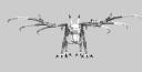 skeleton_dragon_2.png