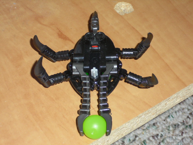010.jpg