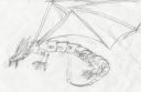 kanohidragon.jpg