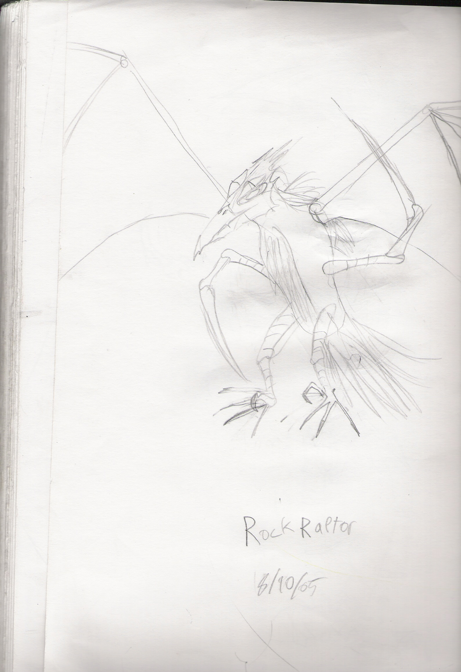rockraptor.jpg