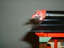 7419_14.jpg