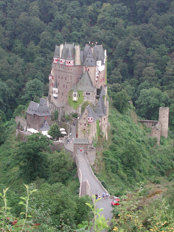 catle_eltz_germany.jpg