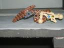 brickshelf_images_068.jpg
