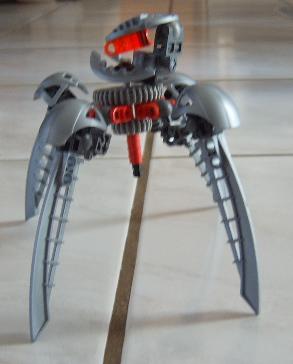quad.jpg