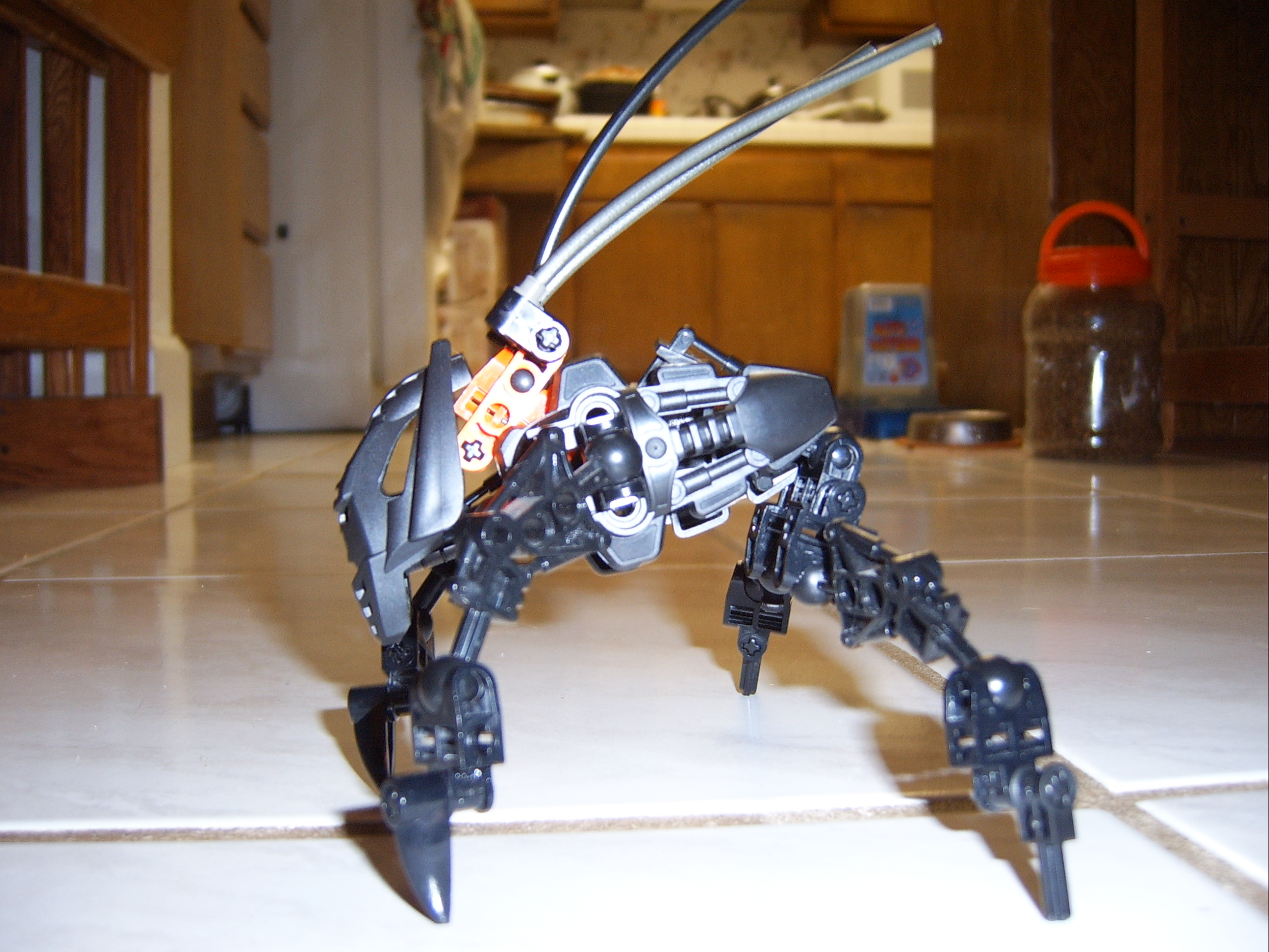 sv500005.jpg